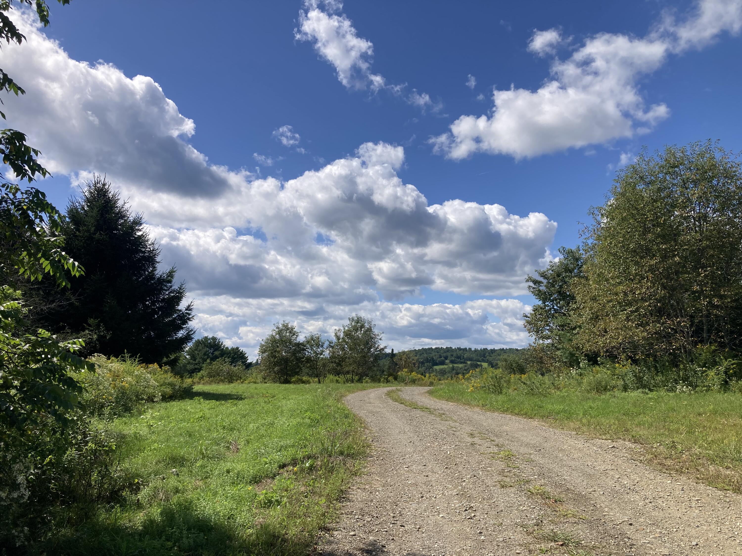 129 Stovepipe Alley Road Monroe, ME 04951 - Photo 56 of 60 IMG_3717