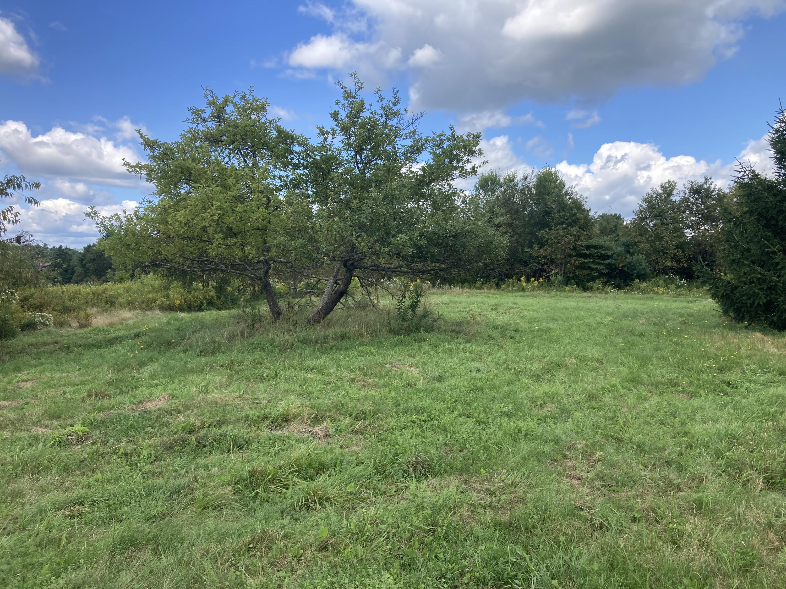 129 Stovepipe Alley Road Monroe, ME 04951 - Photo 59 of 60 IMG_3656