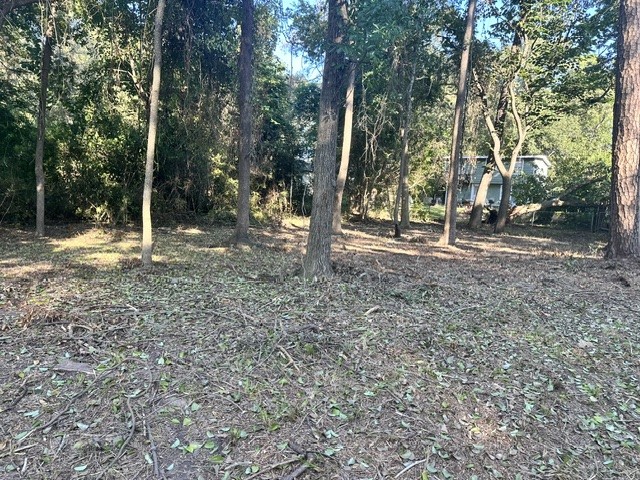 0 Kickapoo Trail Willis, TX 77378 - Photo 2 of 15 a backyard of a house with lots of green space