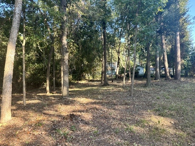 0 Kickapoo Trail Willis, TX 77378 - Photo 3 of 15 a view of a tree in the middle of a yard