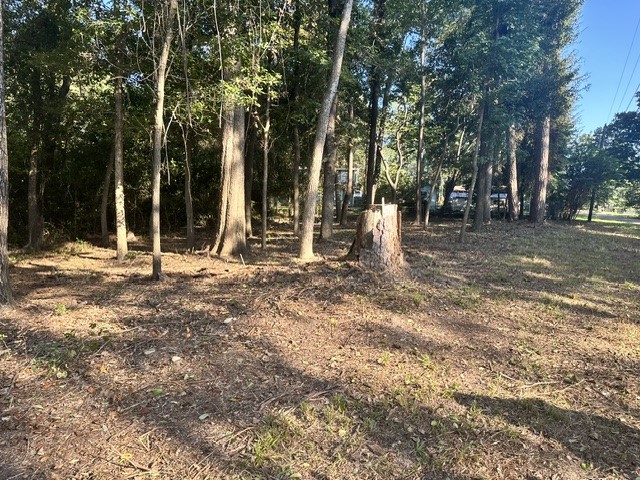 0 Kickapoo Trail Willis, TX 77378 - Photo 4 of 15 a backyard of a house with lots of green space