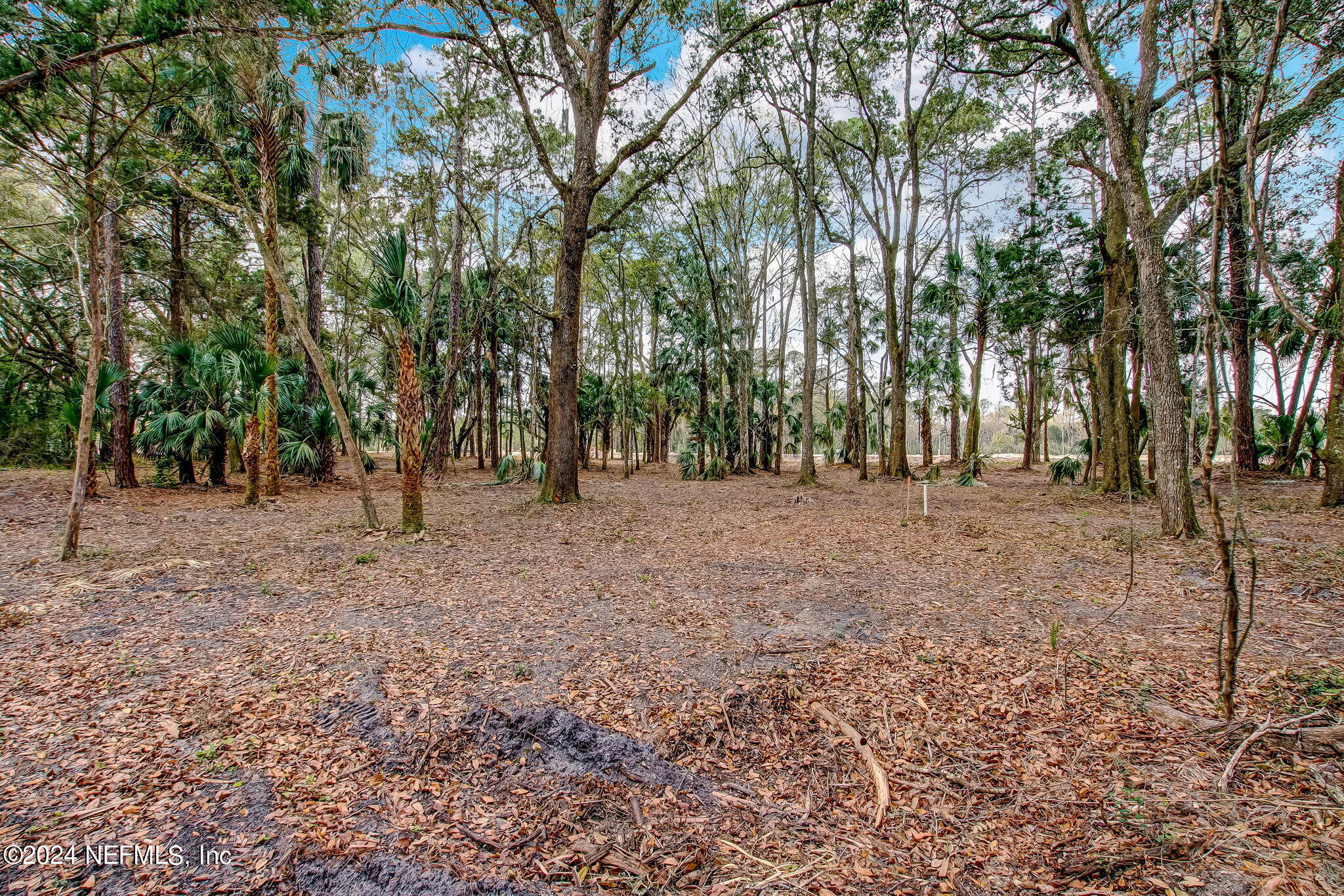 519 Shell Ridge Lane Ponte Vedra, FL 32081 - Photo 4 of 28 2-web-or-mls-2_River Landing Lot 64