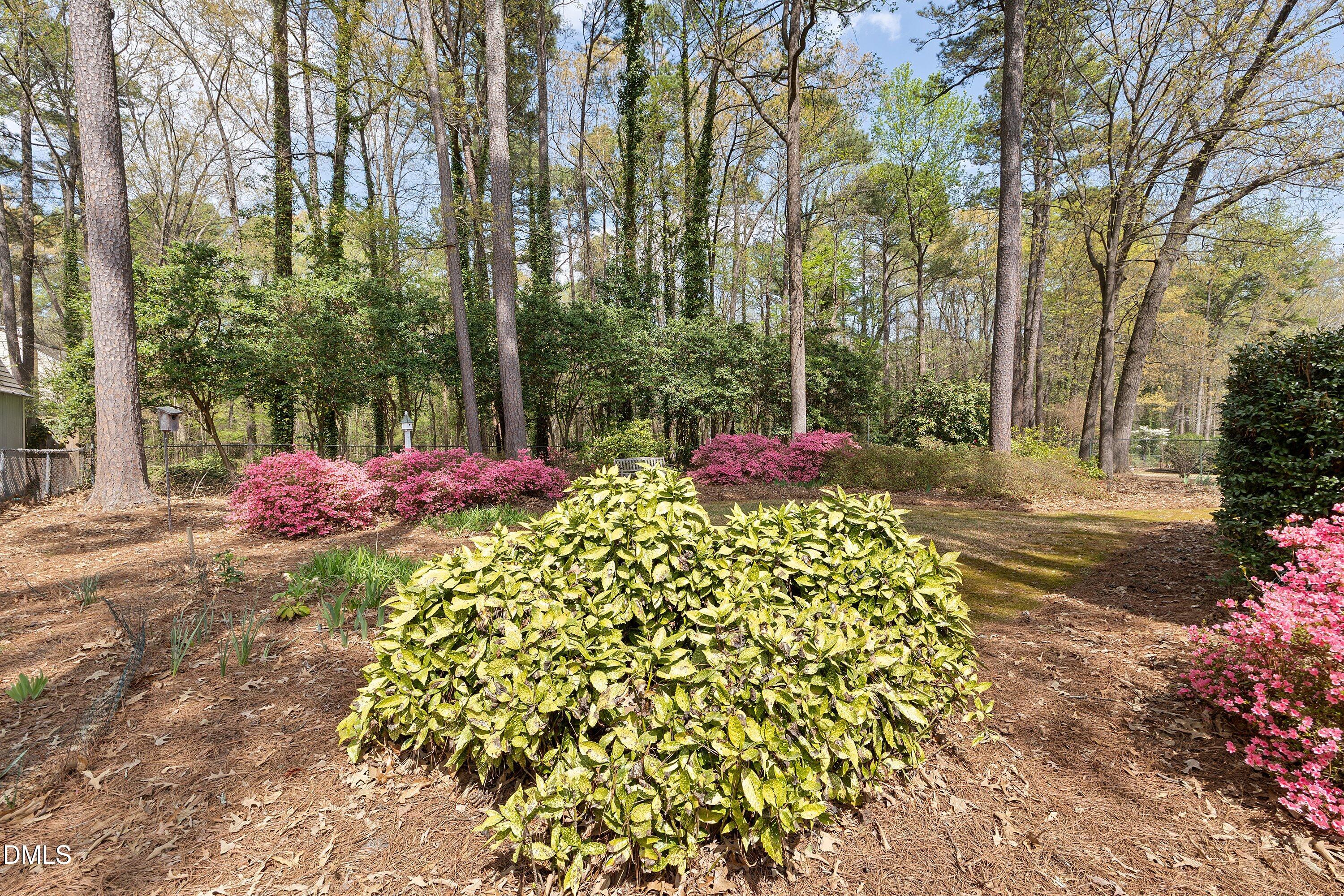 1429 Falls Church Road Raleigh, NC 27609 - Photo 46 of 60 46-1429 Falls Church_6209