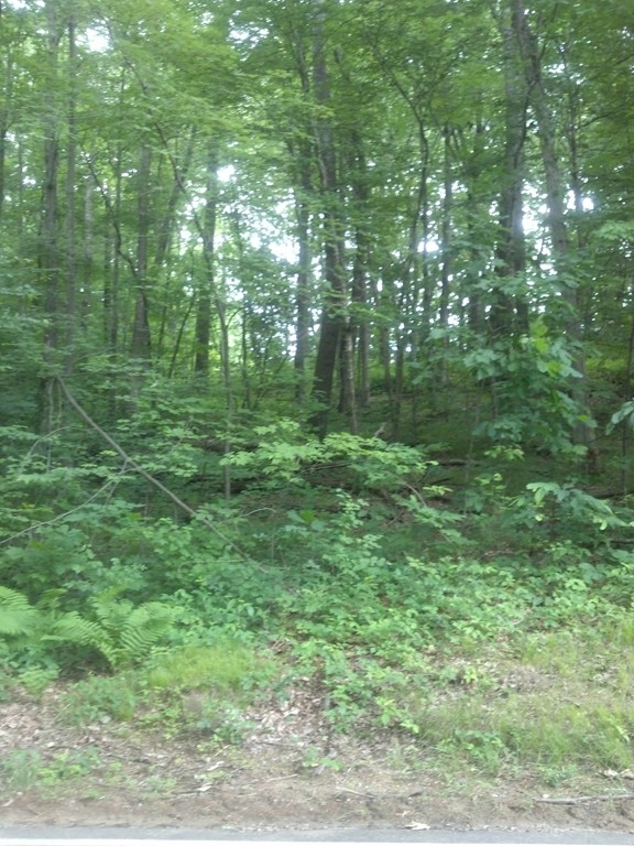 16 Warren Road Brimfield, MA 01010 - Photo 1 of 1 Gallery Image 1