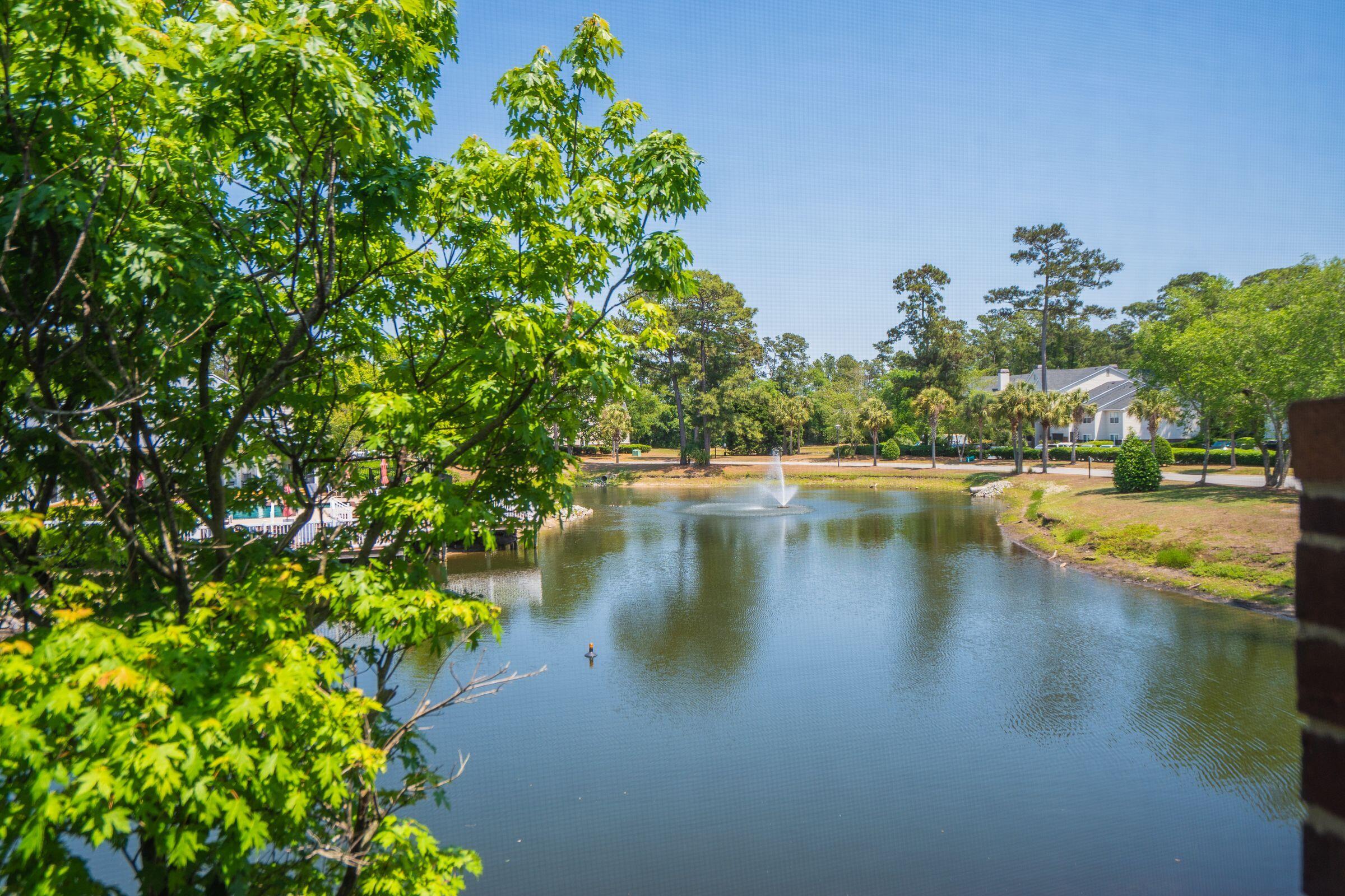 2011 North Highway 17, Unit 1900R Mount Pleasant, SC 29466 - Photo 24 of 79 Fountain View