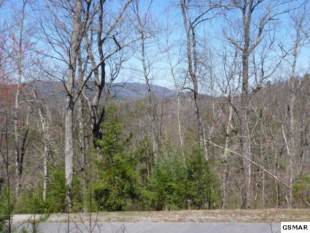 129 Rocking Chair Lane Sevierville, TN 37862 - Photo 9 of 16 Gallery Image 9