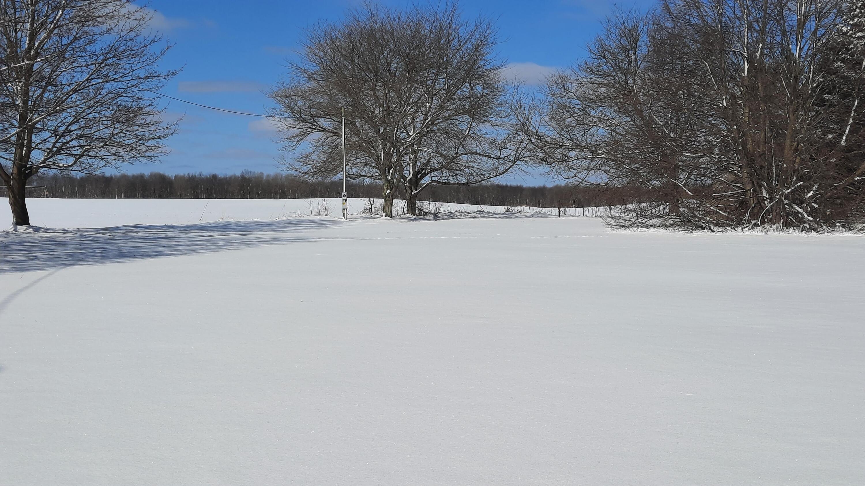 9274 Marilla Road Copemish, MI 49625 - Photo 2 of 16 1.3 Ac Lot