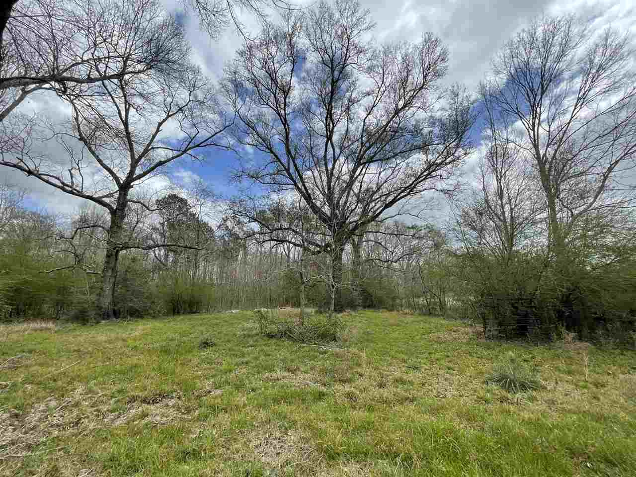 54 George Walker Road Picayune, MS 39466 - Photo 1 of 25 Photo 1