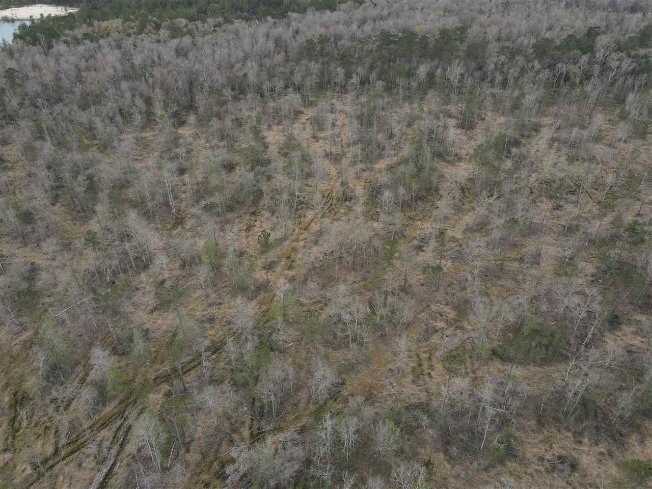 54 George Walker Road Picayune, MS 39466 - Photo 24 of 25 Photo 24