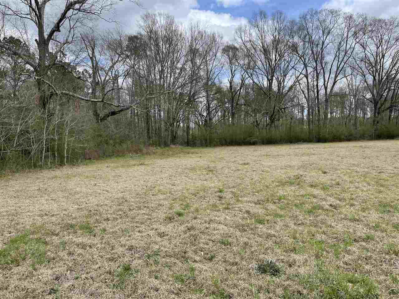 54 George Walker Road Picayune, MS 39466 - Photo 3 of 25 Photo 3