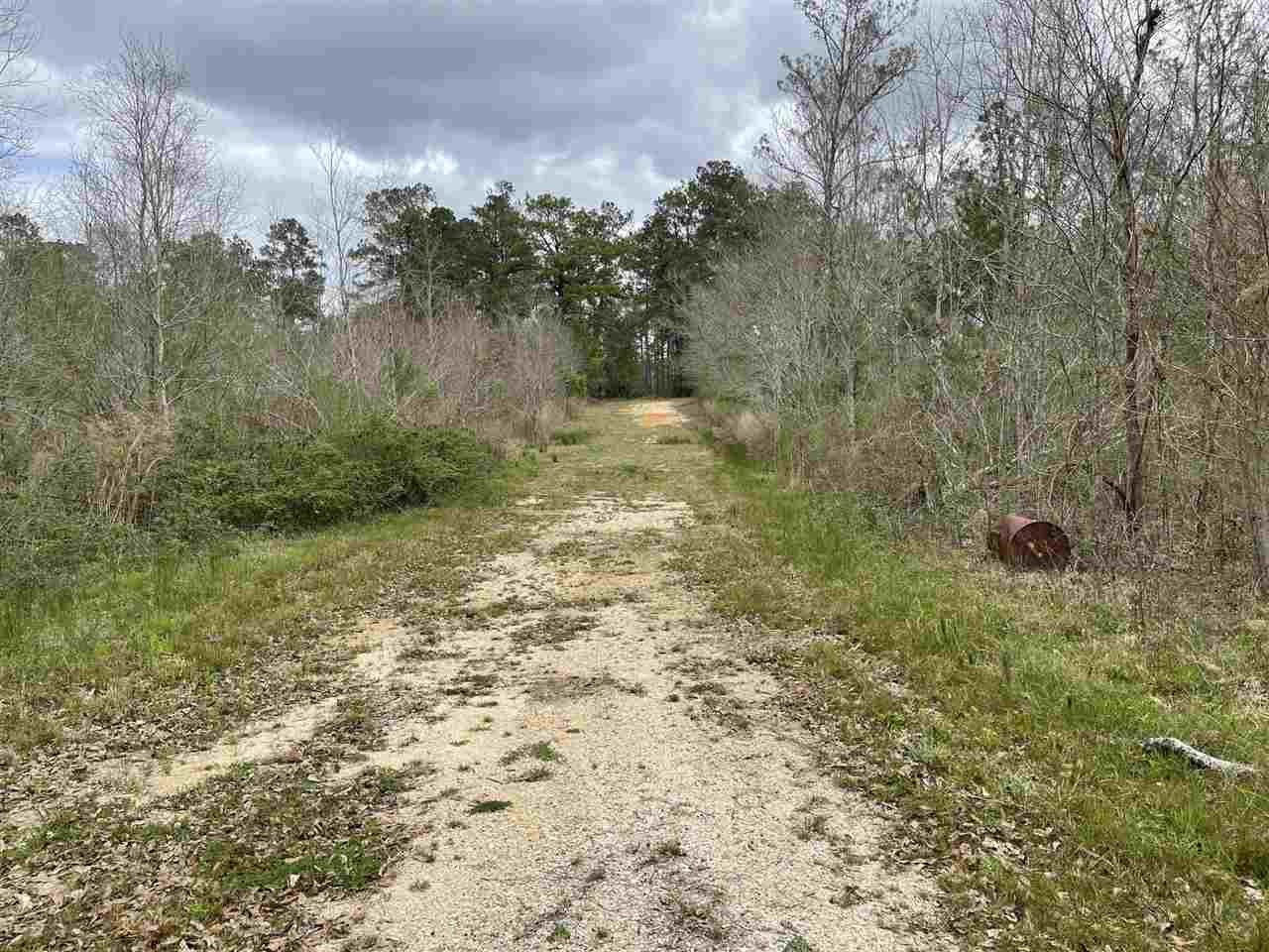 54 George Walker Road Picayune, MS 39466 - Photo 9 of 25 Photo 9