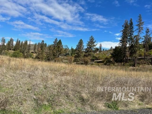 Tbd Lot 1 Tbd Road Kamiah, ID 83536 - Photo 1 of 8