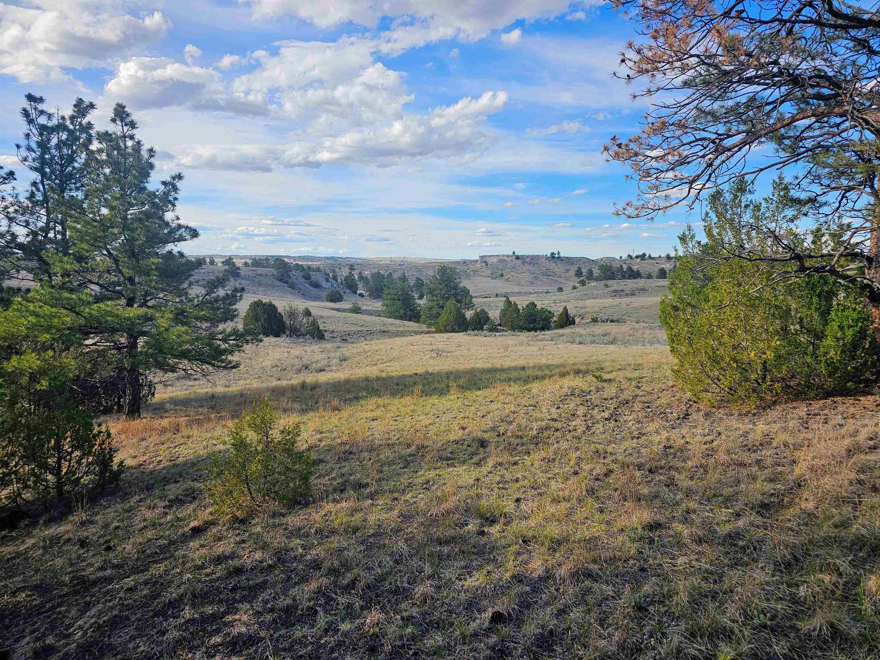 52 Wendover Road Guernsey, WY 82214 - Photo 14 of 42