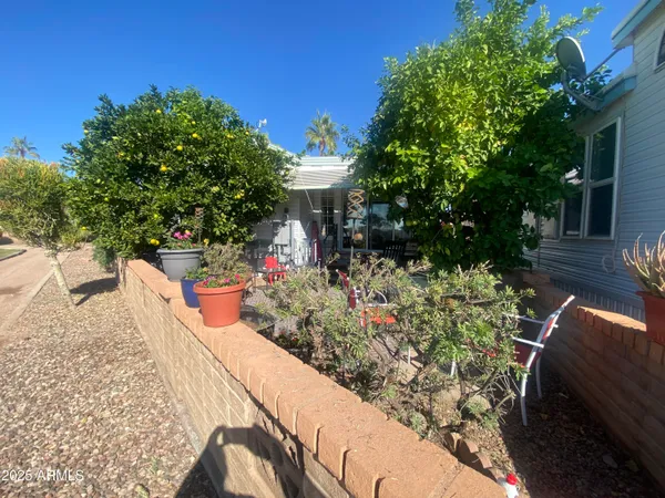 a view of a garden with plants