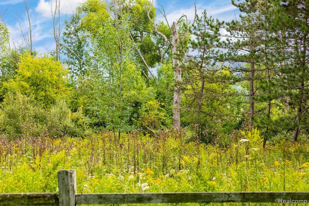 4731 North Lakeshore Road Deckerville, MI 48427 - Photo 50 of 54 Gallery Image 50