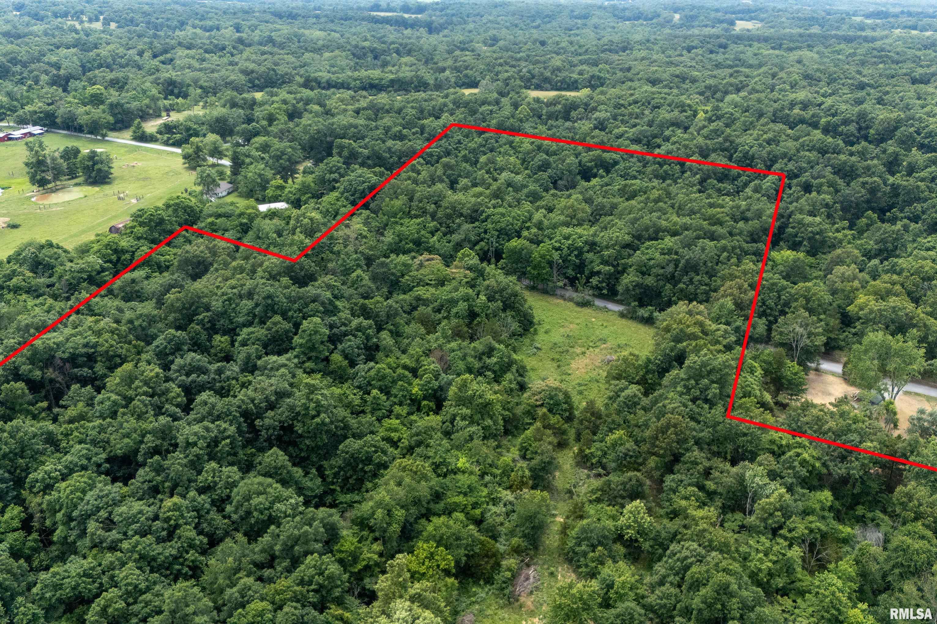 16880 Malone Road Thompsonville, IL 62890 - Photo 8 of 44