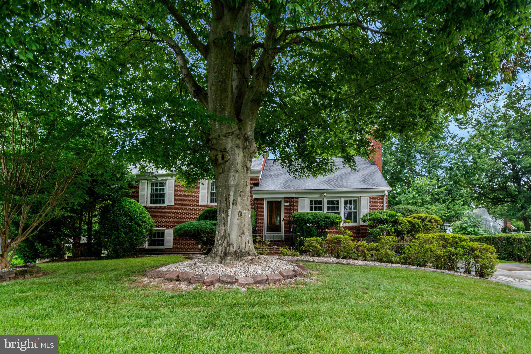 4902 Ravensworth Road Annandale, VA 22003 - Photo 60 of 63 Lush and Shaded yard