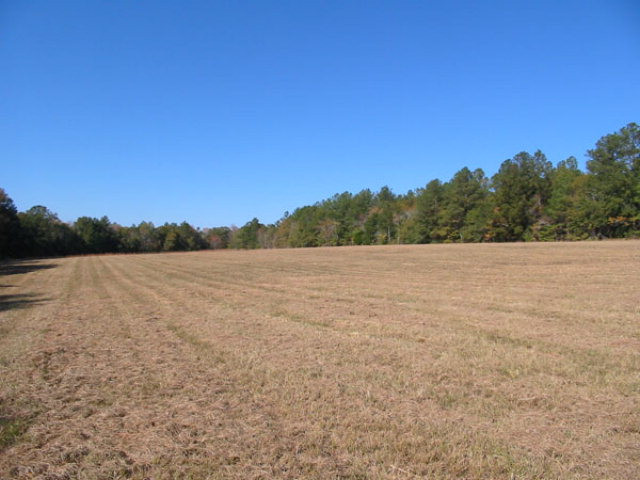 Na East Calhoun Street Wadley, GA 30477 - Photo 9 of 16 Open & wooded.