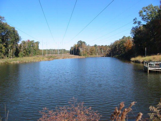 Na East Calhoun Street Wadley, GA 30477 - Photo 10 of 16 Pretty 4 acre pond.