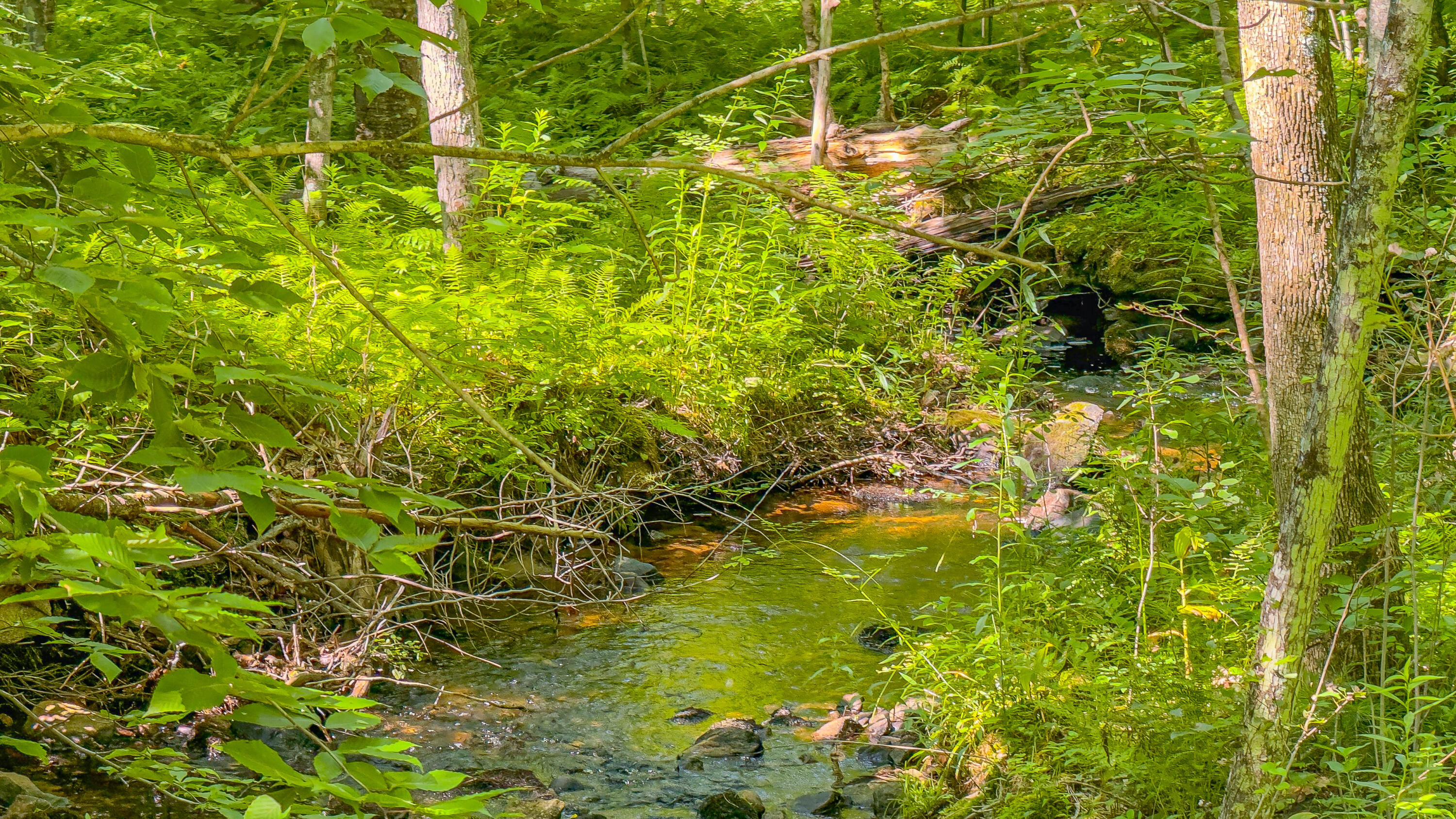 21 Bradley Pond Road Lovell, ME 04051 - Photo 26 of 64 bradley pond road-21