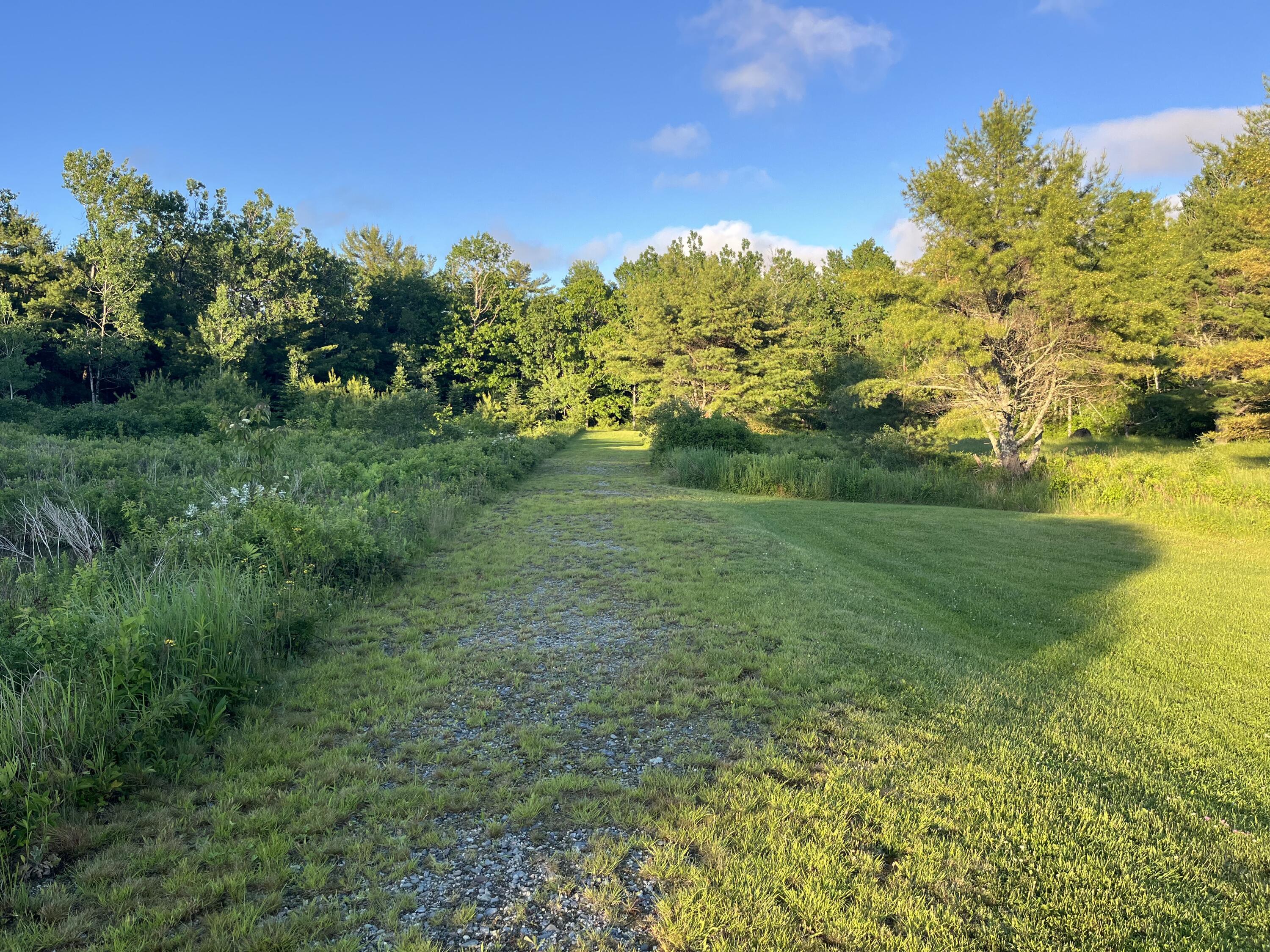 37 Patriot Road Ellsworth, ME 04605 - Photo 58 of 65 Backyard