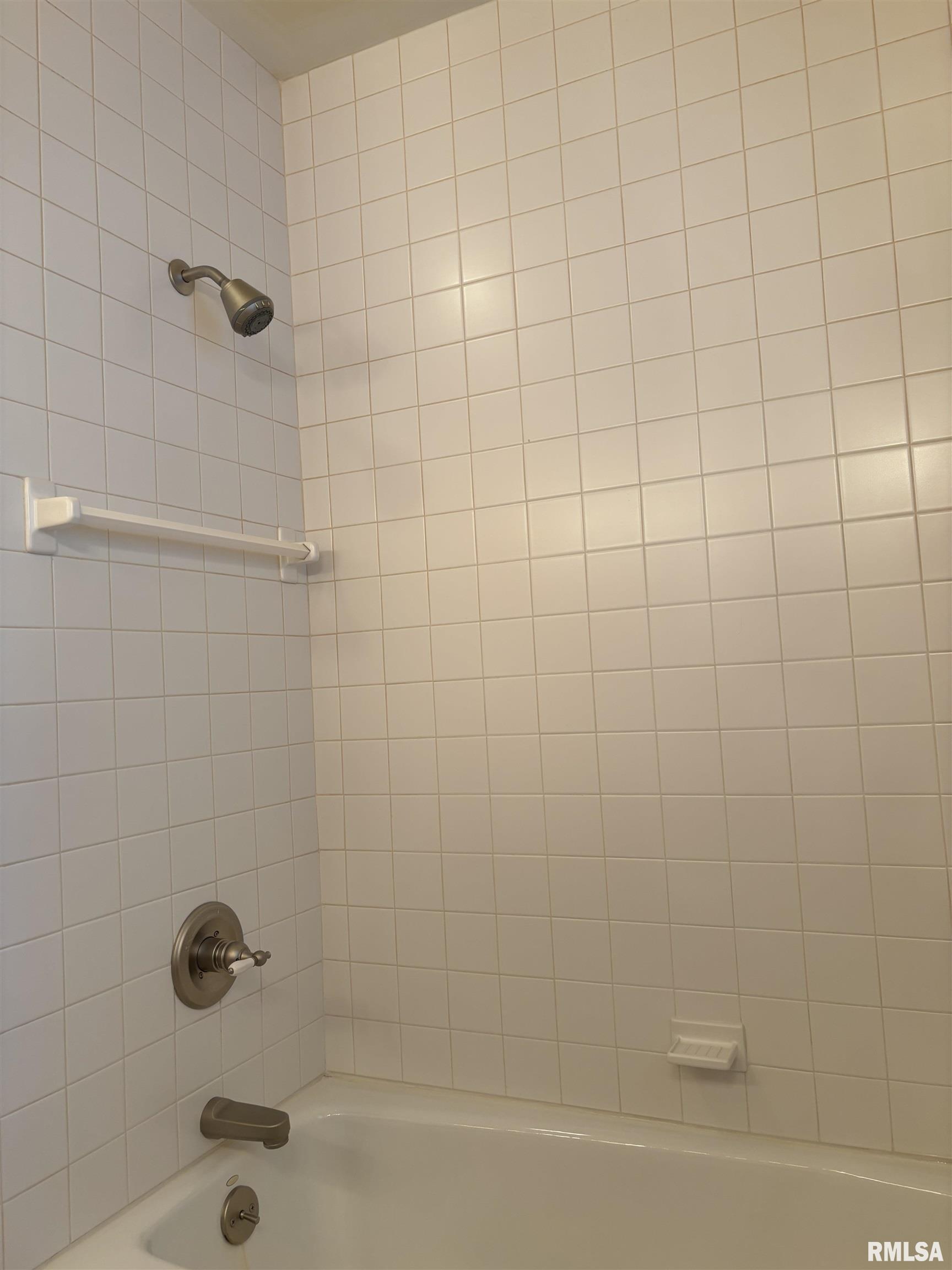 100 Kennedy Court Wyoming, IL 61491 - Photo 25 of 51