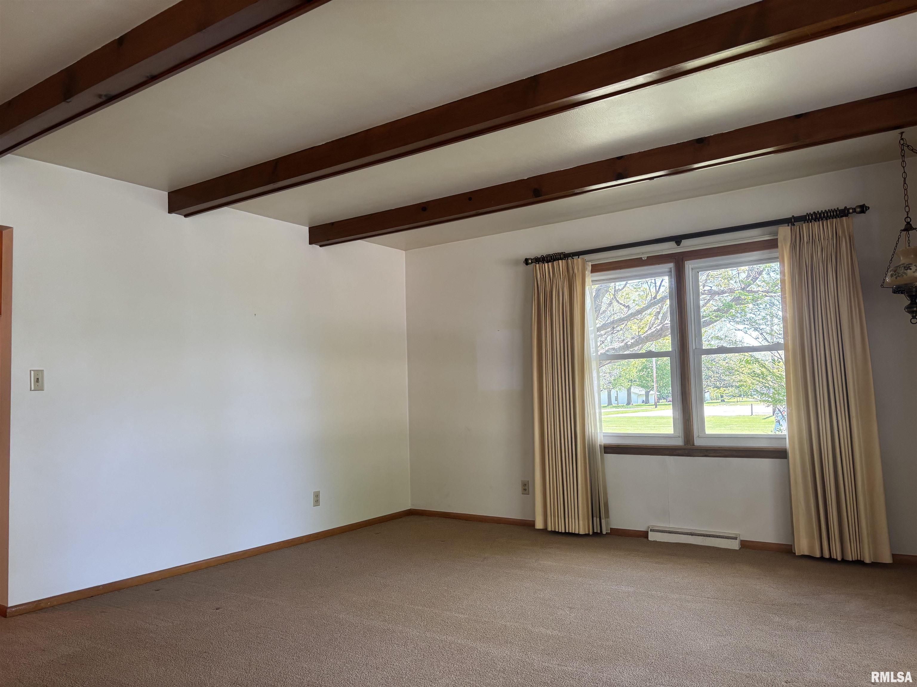 100 Kennedy Court Wyoming, IL 61491 - Photo 7 of 51