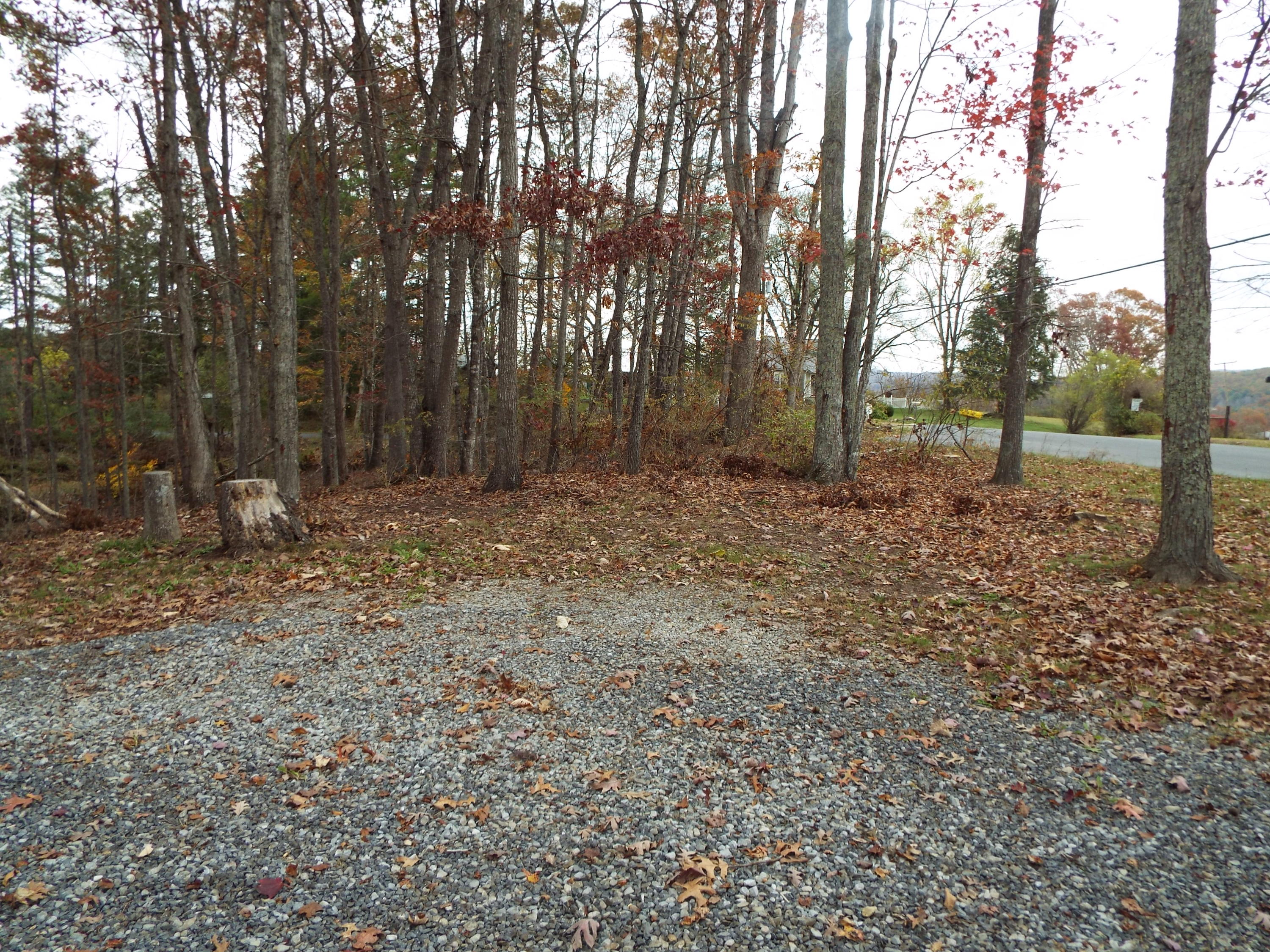 3085 Vago Road Frankford, WV 24938 - Photo 4 of 22 Gallery Image 4