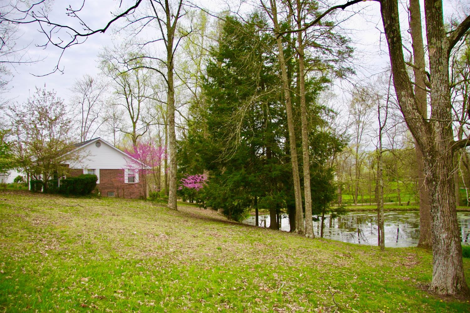 787 Court Road London, KY 40744 - Photo 7 of 36 Listing Photo