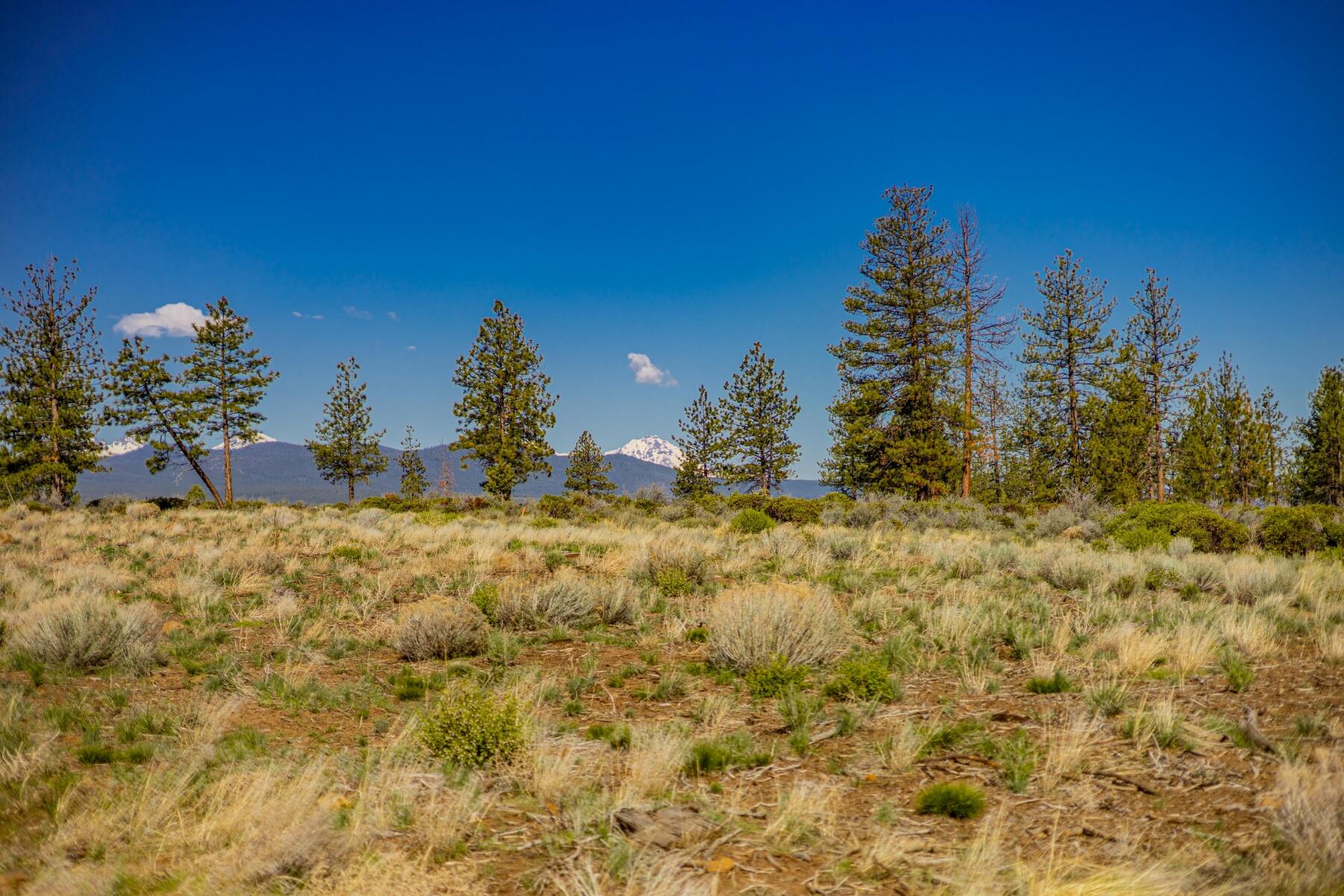 62545 Huntsman Loop Bend Bend, OR 97703 - Photo 2 of 21 batch_12