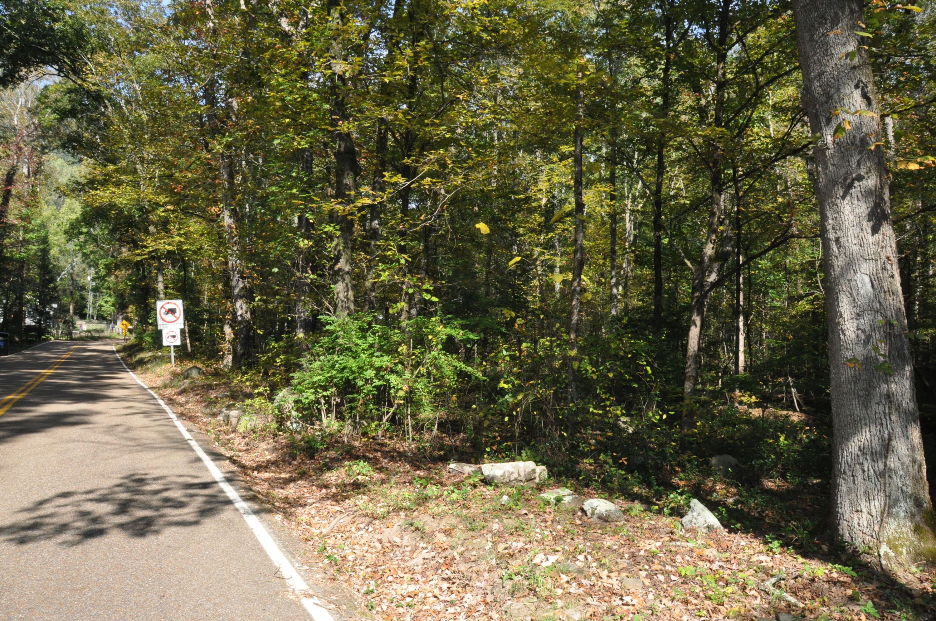 825 Roberts Mill Road Hixson, TN 37343 - Photo 11 of 25 DSC_0142