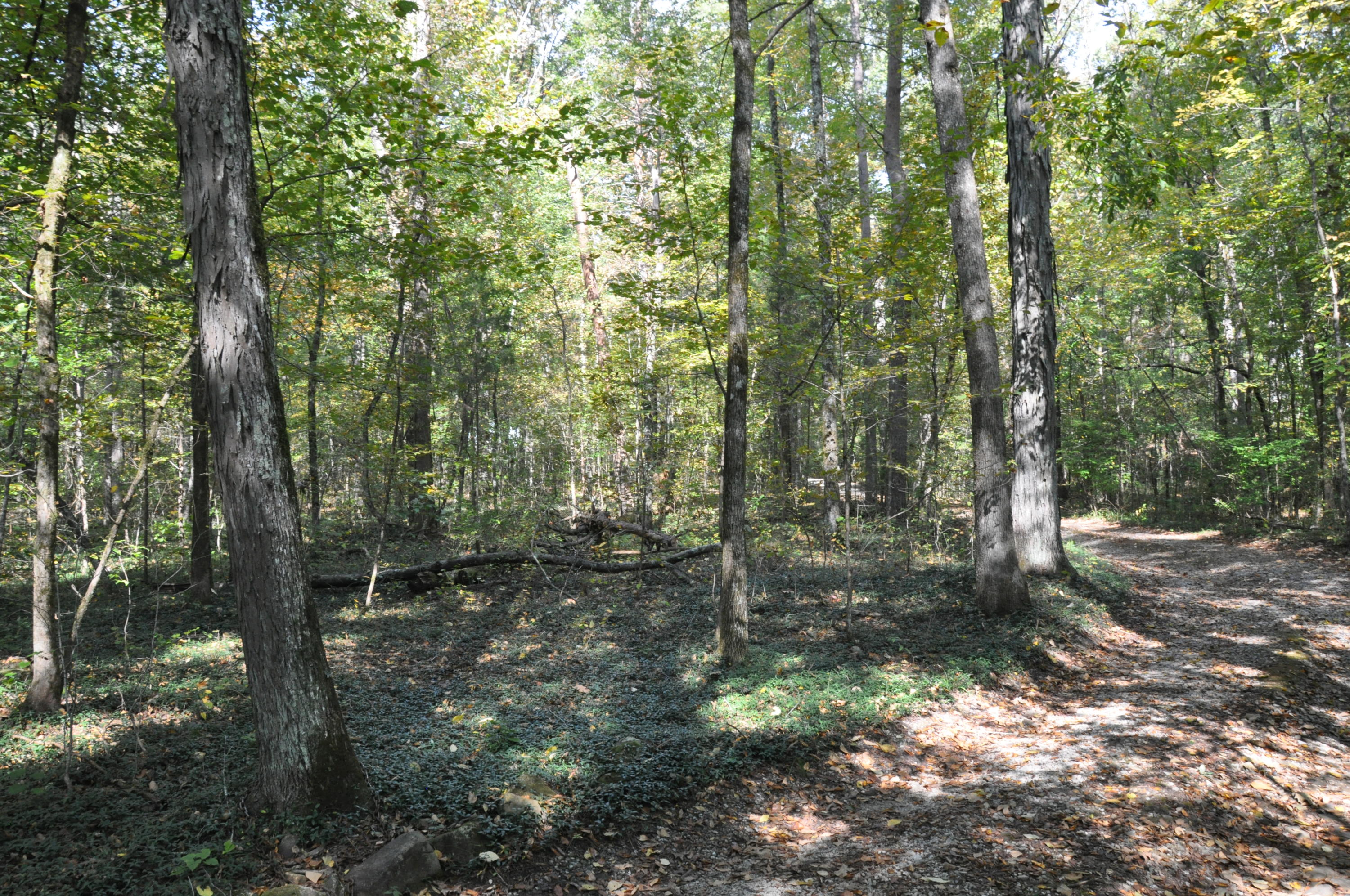 825 Roberts Mill Road Hixson, TN 37343 - Photo 23 of 25 DSC_0159