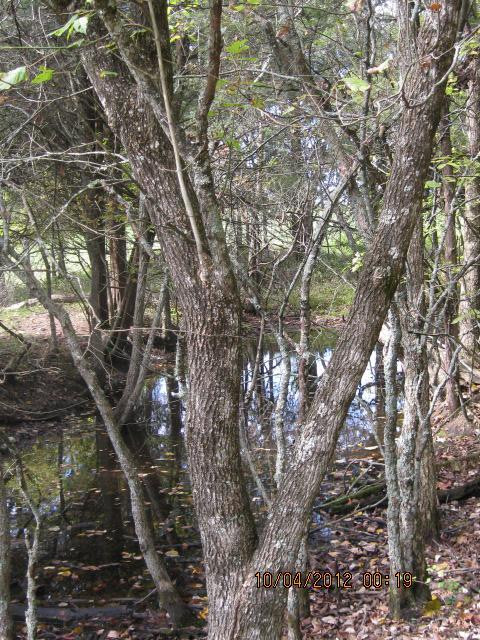 0 Corinth Road Lawrenceburg, KY 40342 - Photo 15 of 26 Photo 15