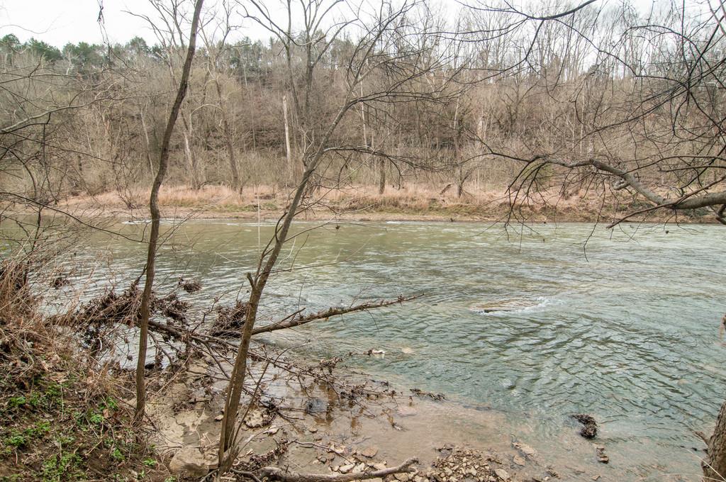 5587 Walkup Road Pegram, TN 37143 - Photo 14 of 22 Gallery Image 14