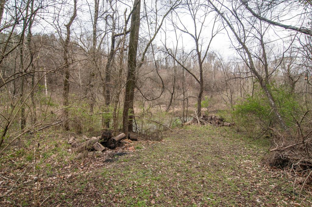 5587 Walkup Road Pegram, TN 37143 - Photo 17 of 22 Gallery Image 17