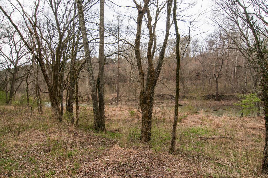 5587 Walkup Road Pegram, TN 37143 - Photo 20 of 22 Gallery Image 20