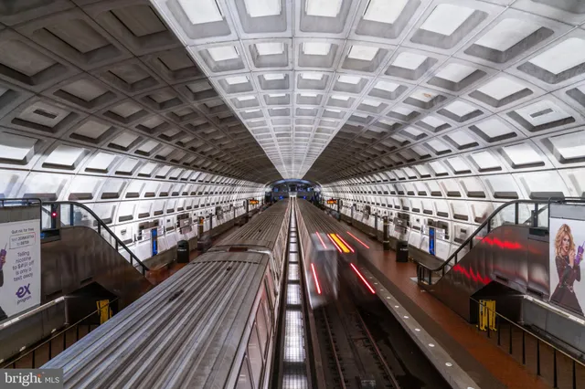 a view of a patio with table and chairs potted plants