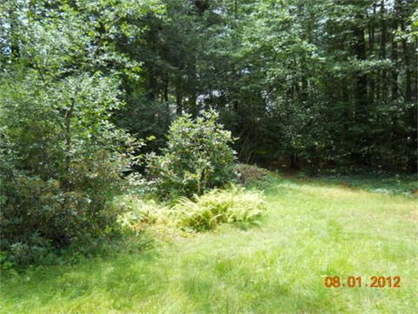 21 Howell Road Sudbury, MA 01776 - Photo 3 of 22 a view of outdoor space and yard