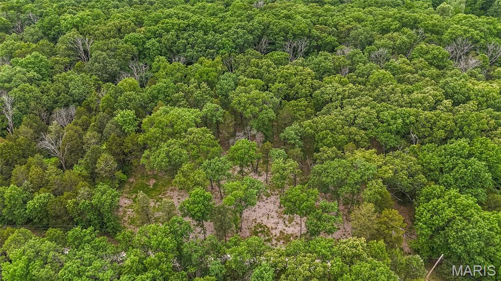 299 Whitetail Ridge Dittmer, MO 63023 - Photo 15 of 19