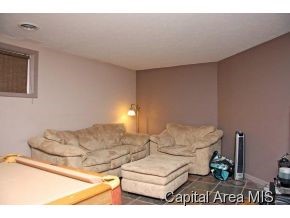 8790 Rhea Park Road Loami, IL 62661 - Photo 22 of 24