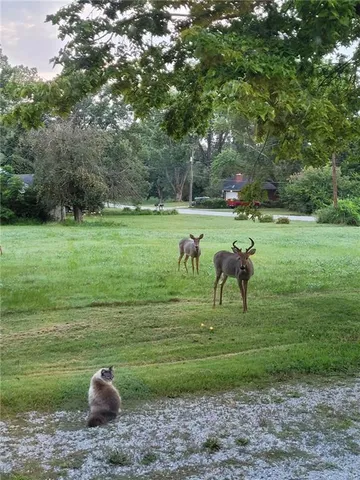 $195,000 | 14815 East Mayes Road, Independence, MO 64050