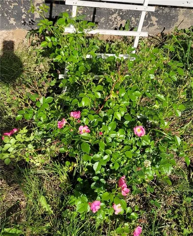 $195,000 | 14815 East Mayes Road, Independence, MO 64050