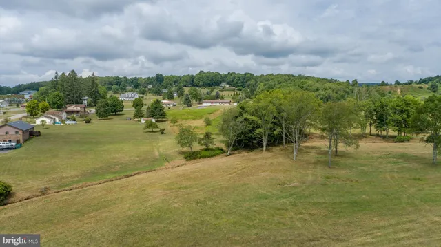 a view of a big yard with large trees
