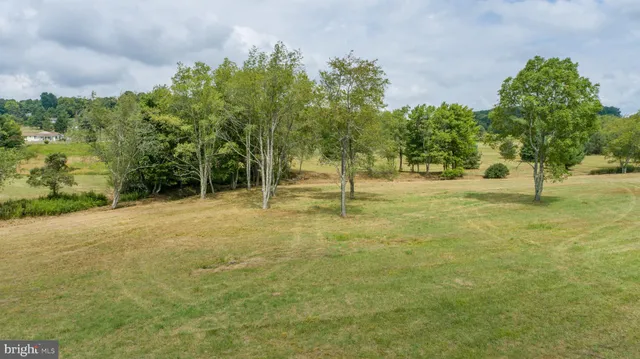 a backyard of a house with lots of green space
