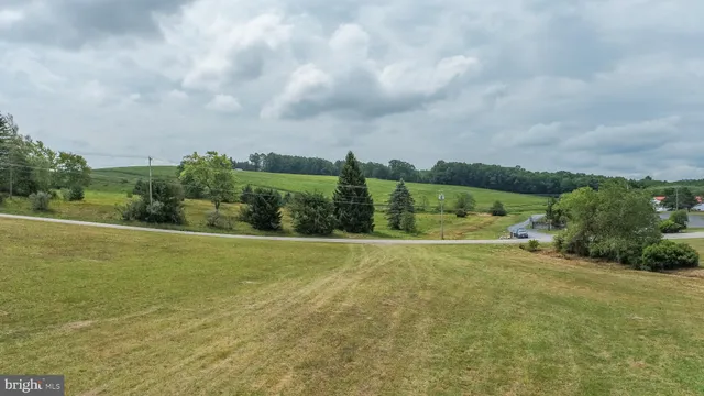a view of a big yard with plants and large trees