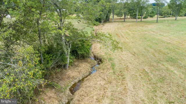 a view of a yard with plants and trees