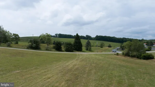 a view of a field with an trees