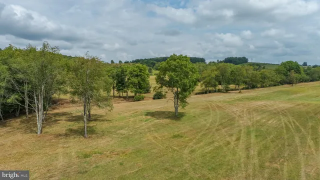 a view of a yard with an trees