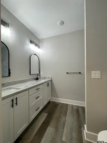 a bathroom with a sink mirror and vanity