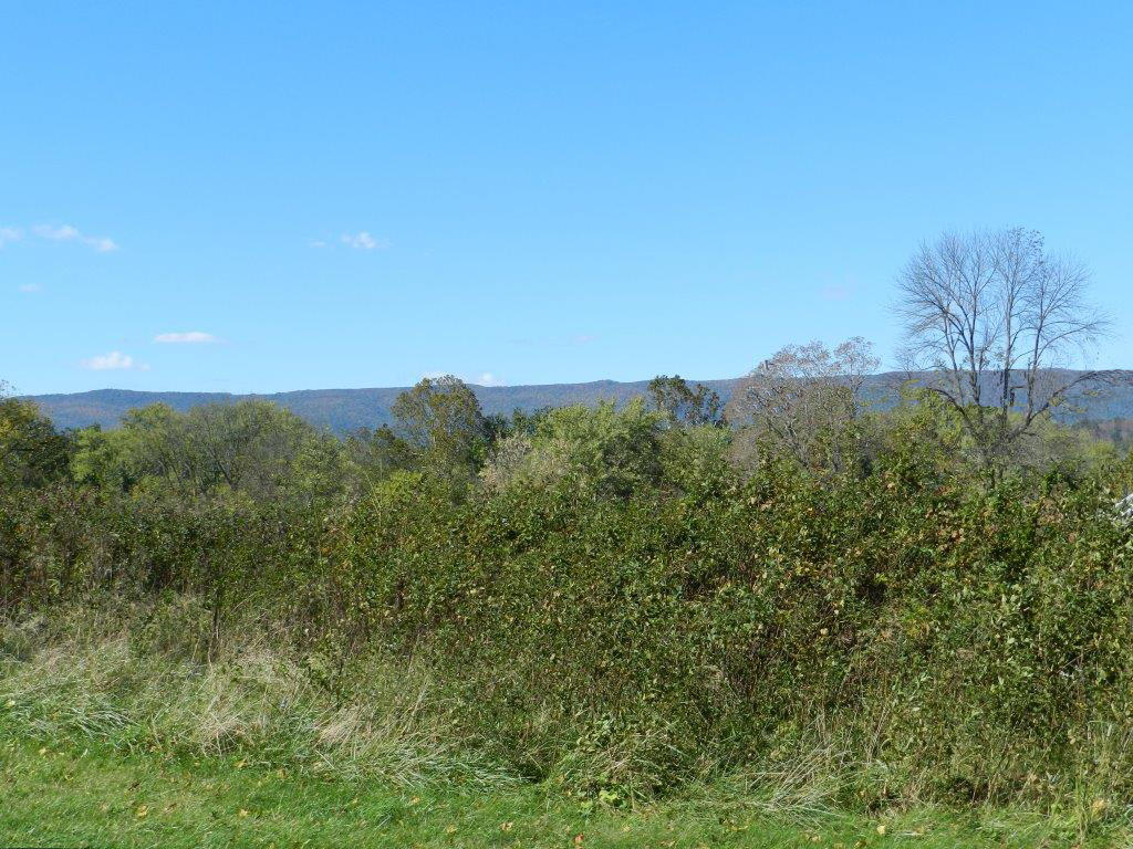 539 Gala Loop Road Eagle Rock, VA 24085 - Photo 31 of 31 Views